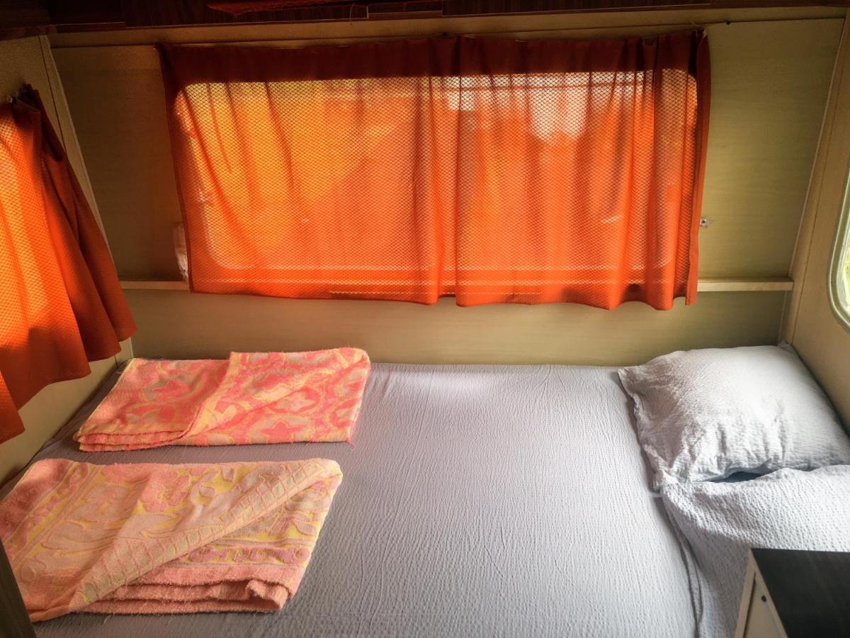 Camping Oaza Bela Crkva  Exterior foto