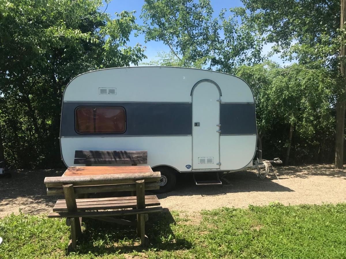 Camping Oaza Bela Crkva  Exterior foto