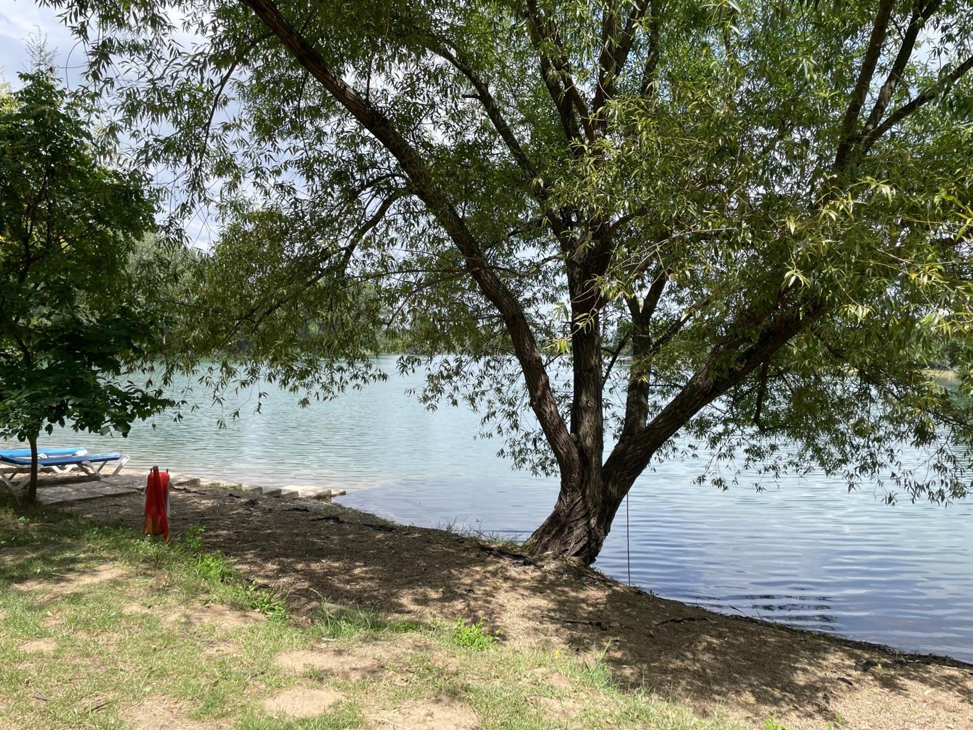 Camping Oaza Bela Crkva  Exterior foto