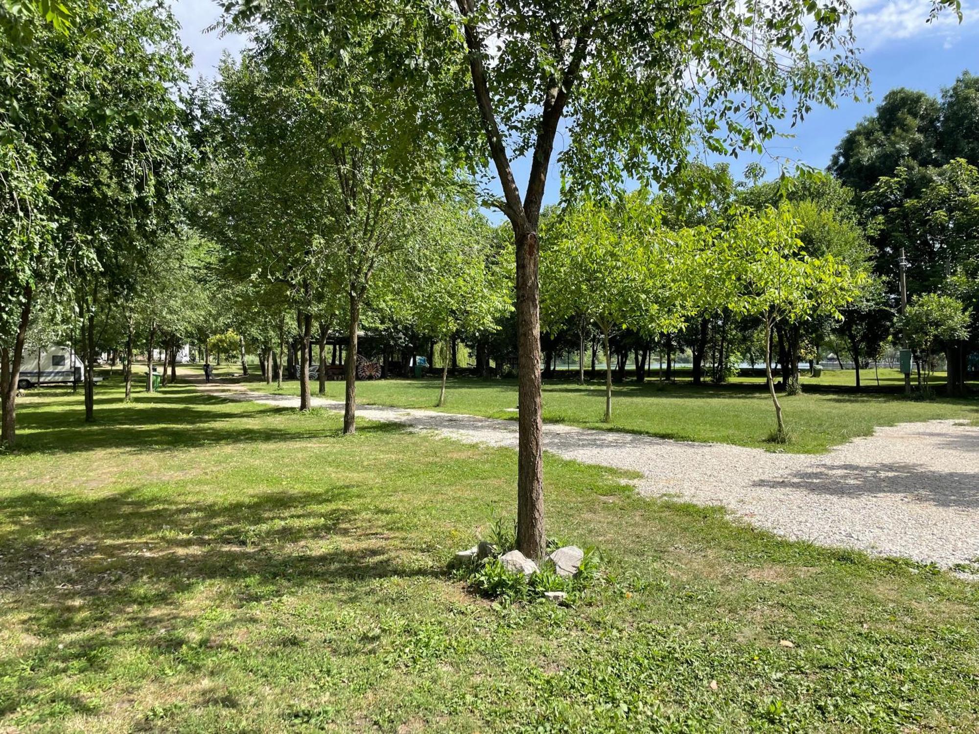 Camping Oaza Bela Crkva  Exterior foto