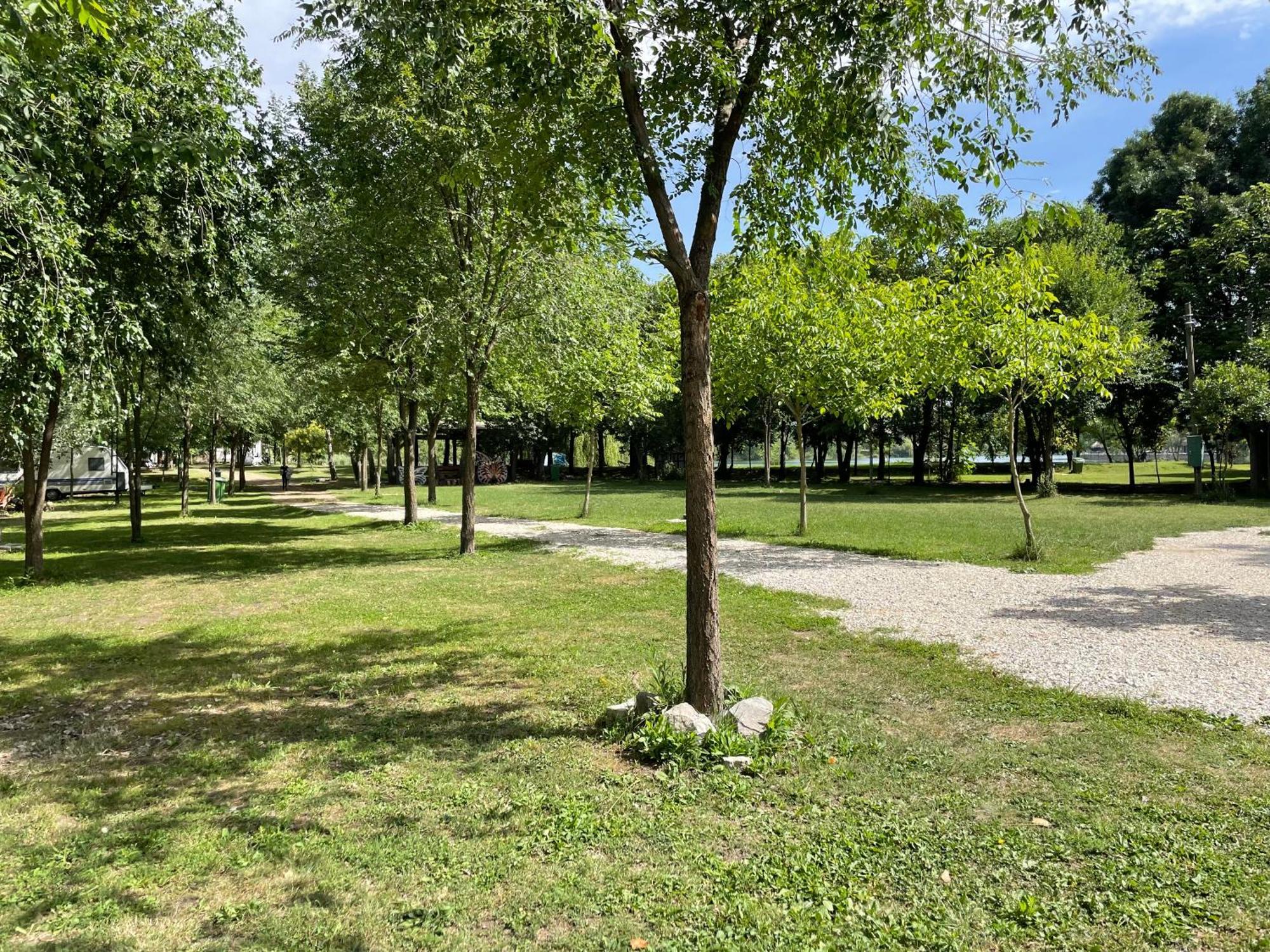 Camping Oaza Bela Crkva  Exterior foto